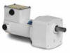 Leeson Elecctric Gear Motor