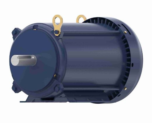 GT1516 Marathon | 7.5 hp 1760 RPM 213T Frame 230/460 Volts TEFC