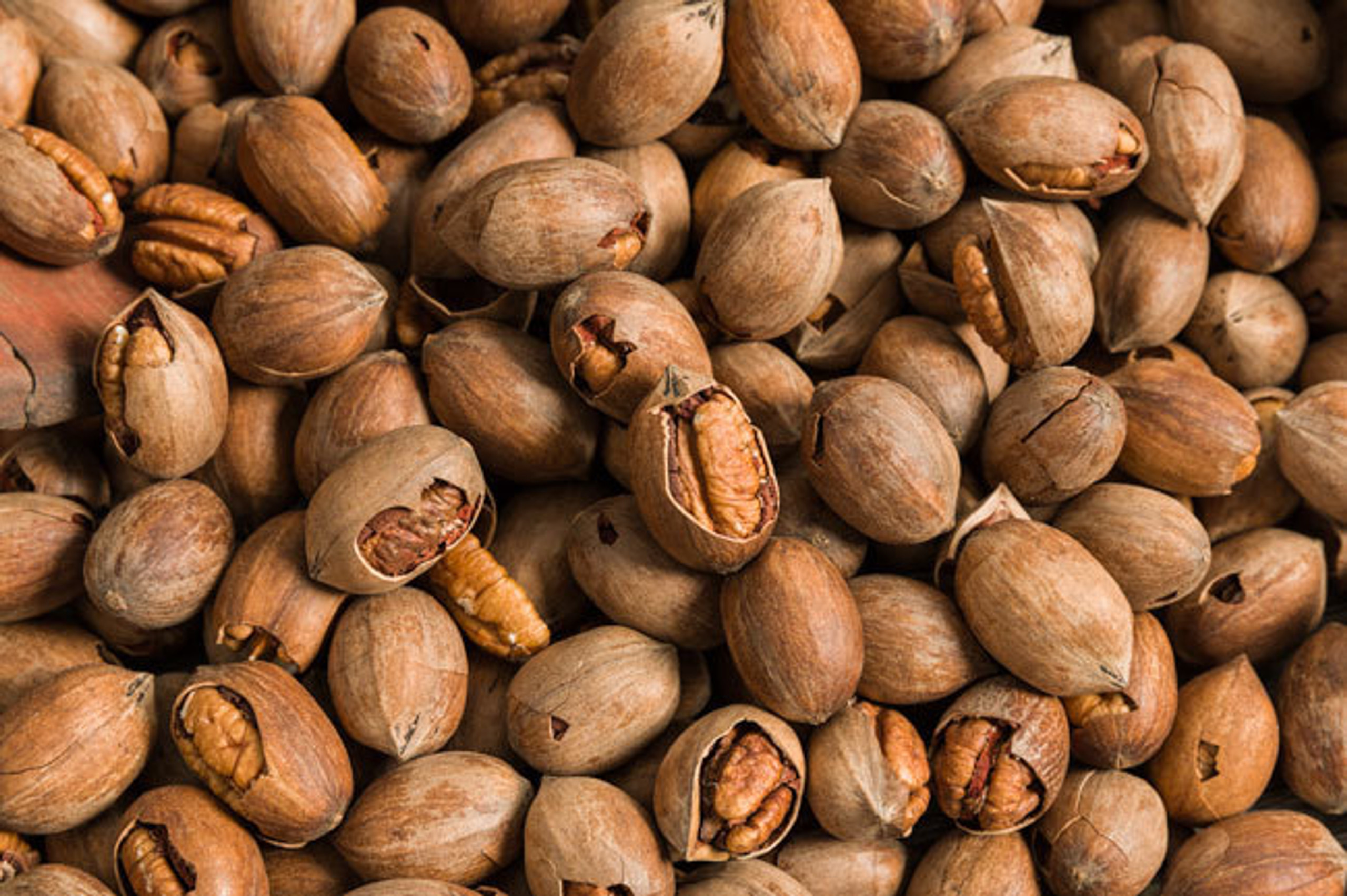 Buy Shelled Pecans Fresh InShell & Cracked Pecans