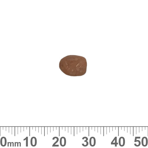 Caramel 9mm Twisted Rectangle Glass Beads