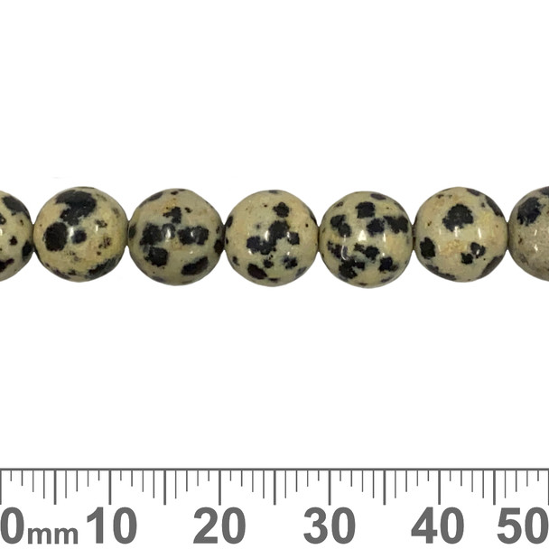 Dalmatian Jasper 8mm Round Beads (19cm)