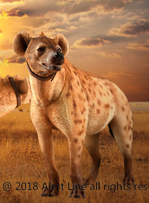 AL-100025B] 1:6 Light Brown Crocuta Crocuta Spotted Hyena by Alert