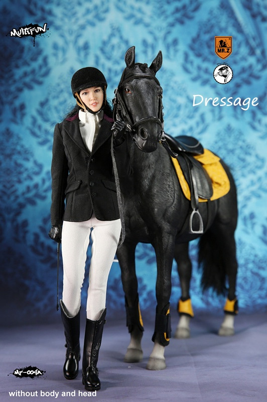 MRZ-MF004A] MCCToys x Mr Z's 1/6 Equestrianism Black Horse with