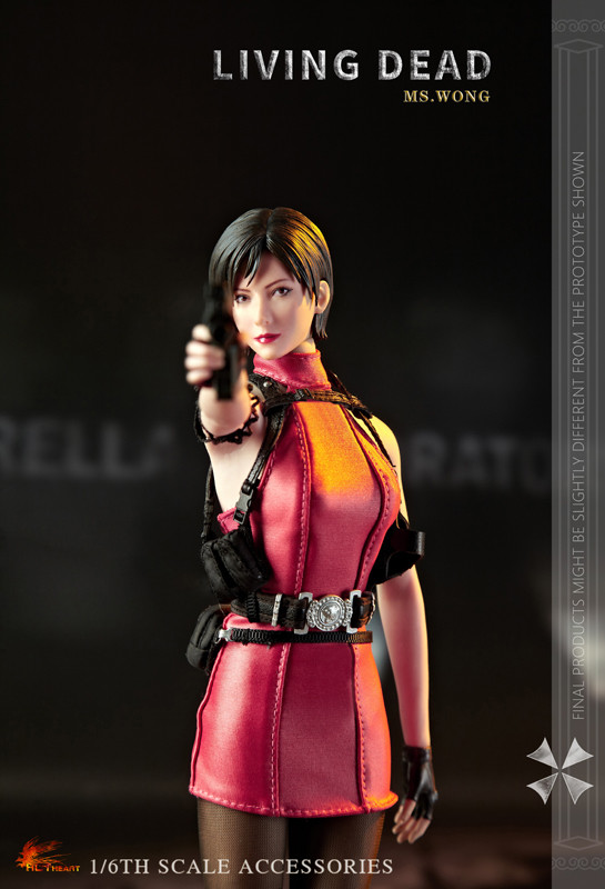 HH-FD006A] Ms.Wong Regular Version 1/6 Figure Accessories by Hot