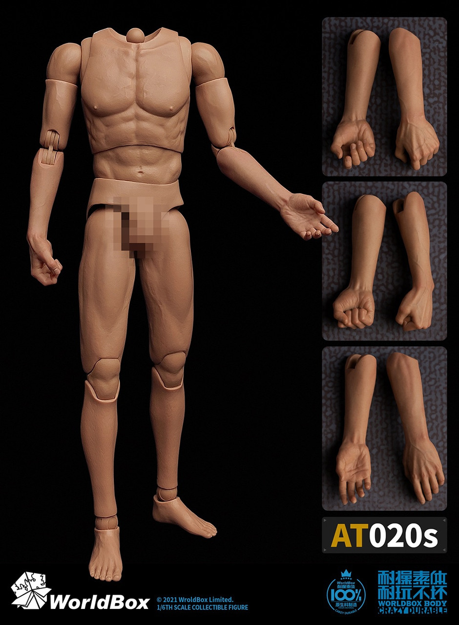 World Box 1/6 One-piece Forearm Body [WB-AT020S] - EKIA Hobbies