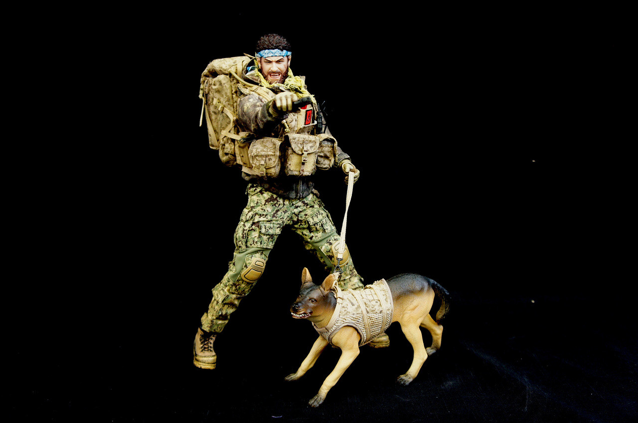 Elite Force en Mercado Libre México