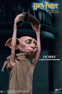 [SA-0043] Harry Potter and the Chamber of the Secrets Dobby the House Elf