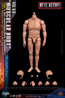 Soldier Story Version 6.0 Type C Muscular Body with Nondetachable Neck [SS-A003]