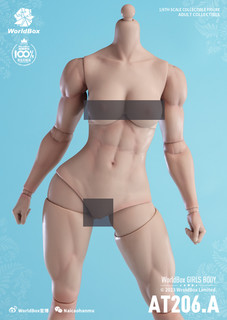 World Box 1/6 Muscular Girl Body Pale [WB-AT206AP]