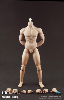 [CM-B34006] COO Model Hybrid Rubber Muscular Male Body