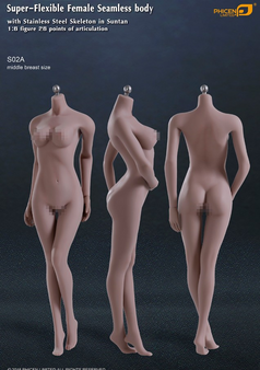 [PL-MB2015S02A] Phicen Limited Super-Flexible Female Seamless Middle Breast Body with Stainless Steel Skeleton in Suntan