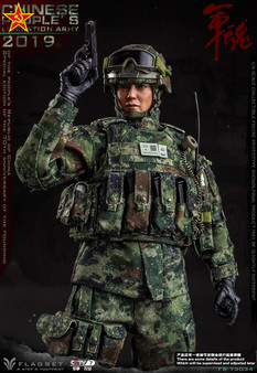 超人気 (SFG) - FLAGSET United Group Forces Special Army States その他