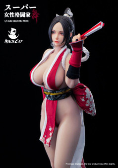 Ninja Cat 1:6 Fighter Mai Collectibles Figure [NIC-N001]
