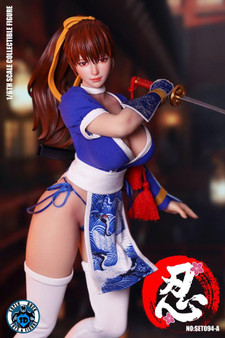 Ninja Cat 1:6 Fighter Mai Collectibles Figure [NIC-N001] - EKIA