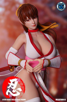Ninja Cat 1:6 Fighter Mai Collectibles Figure [NIC-N001] - EKIA
