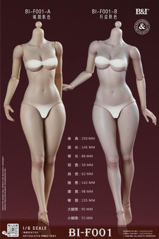 B&I 1/6 Female Bodies [BI-F001]