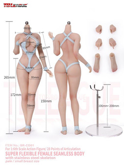 TBLeague 1/6 Seamless Body with Stainless Steel Skeleton Small Breast Size [PL-SRCD01-02]