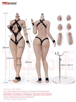 TBLeague 1/6 Seamless Body with Stainless Steel Skeleton Pale Big Breast Size [PL-SRDD01-02]