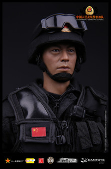 [DAM-78017] DAMTOYS Chinese People's Armed Police Force Anti-Terrorism Force Boxed Figure
