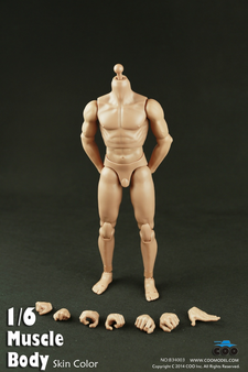 [CM-B34003] COO Model Muscle Male Body 9.8" Tall