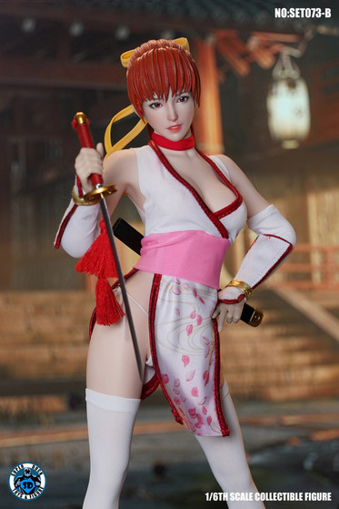 1/6 Super Duck Pink Sexy Kunoichi Set for TBLeague S10D Body [SUD