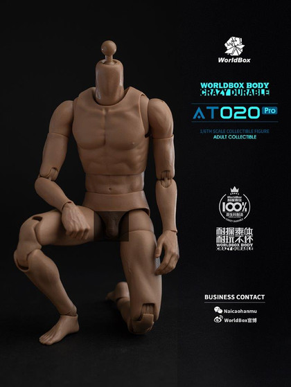 World Box 1/6 Upgrade Universal Action Figure Body [WB-AT020PRO