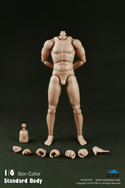 COO Model Version 2.0 Muscle Male Body 9.8" Height  BD03 