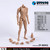 [ZY-B001] ZY TOYS Narrow Shoulders 1:6 Action Figure Body