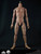 [CM-HD001] COO Model 18 Inch Tall Body HD in 1:4 Scale