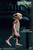 [SA-0043] Harry Potter and the Chamber of the Secrets Dobby the House Elf