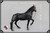 [JSM-RN001] JSModel 1/6 Black Horse