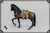 [JSM-RN001] JSModel 1/6 Black Horse