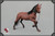 [JSM-RN004] JSModel 1/6 Scale Brown Horse