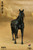 [303T-106] 303 Toys 1/6 Black Horse
