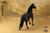 [303T-106] 303 Toys 1/6 Black Horse