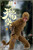[303T-GF001] Sun Wukong Monkey King Begins 1/6 Figure by 303 Toys x OUZHIXIANG