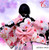 [VST-HF003] 1/6 Black Japanese Kimono Clothing by VS Toys