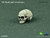 COOMODEL Simulation 1/6 Skull with Eye Movement [CM-OUR50002]
