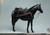 Long Shan Jin Shu 1:6 Western Paradise Horse [LS-2022-01B]