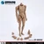 ZY Toys 1/6 New Design Wide-shouldered Body in Wheat Skin Color [ZY-NB002]