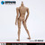 ZY Toys 1/6 New Design Wide-shouldered Body in Wheat Skin Color [ZY-NB002]