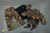 WWII German Camouflage – Autumn Oak-leaf 