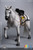 101TOYS X PP STUDIO 1/6 Medieval Teutonic Warhorse [101-MA002]