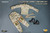 TOYSCITY 1/6 CUSTOM COMBAT UNIFORM SET IN 3-COLOR SAND [TC-62007B] 