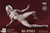 B&I 1/6 Female Bodies [BI-F001]