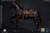  101TOYS 1/6 Heavenly Kingdom Dynasty Warhorse [101-MA003D]