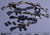 Dam Toys 1:6 VERTEXARMS ORDER SERIES [DAM-VSF01]