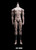 Cosmic Studio 1/6 Fully Geared-Joint Action Figure Body [COS-CC9147]