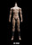 Cosmic Studio 1/6 Fully Geared-Joint Action Figure Body [COS-CC9147]
