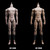 Cosmic Studio 1/6 Fully Geared-Joint Action Figure Body [COS-CC9147]